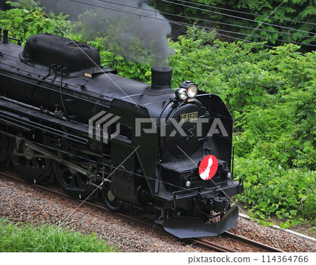 Joetsu Line Kamimaki-Minakami JR East C61-20+C57-180+12 series Ganbarou Japan 114364766