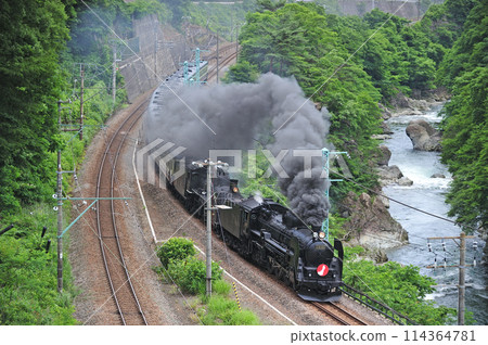 上越線 上牧水上 JR 東日本 C61-20+C57-180+12 系列 Ganbarou Nippon 114364781