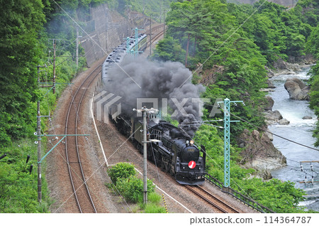 Joetsu Line Kamimaki-Minakami JR East C61-20+C57-180+12 series Ganbarou Japan 114364787