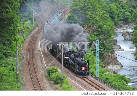 上越線 上牧水上 JR 東日本 C61-20+C57-180+12 系列 Ganbarou Nippon 114364788