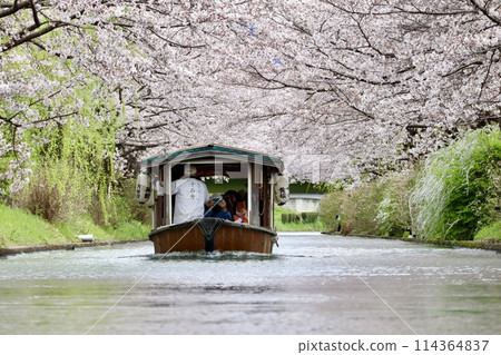 Kyoto Fushimi 10 Ishi Kyoto Fushimi 10 Ishi 114364837