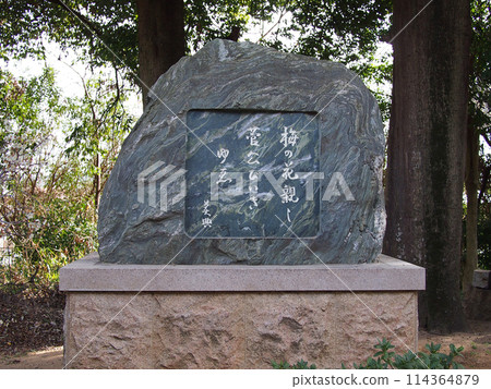 道明寺天滿宮俳句碑 114364879