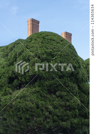 樹和煙囪 114365634