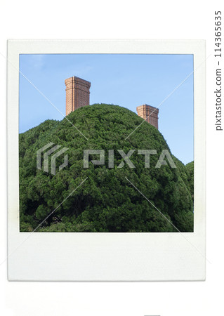 樹和煙囪波拉風格 114365635