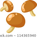 Simple and cute mushroom illustration 114365940