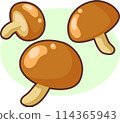 Simple and cute mushroom illustration 114365943