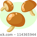 Simple and cute mushroom illustration 114365944