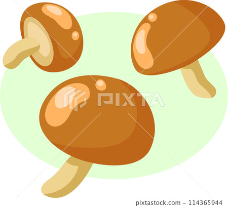 簡單可愛的蘑菇插畫 簡單可愛的蘑菇插畫 114365944