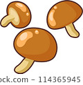 Simple and cute mushroom illustration 114365945