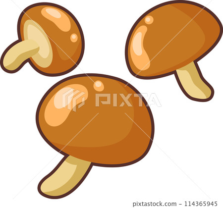 簡單可愛的蘑菇插畫 簡單可愛的蘑菇插畫 114365945