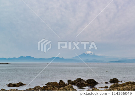 View of Mt. Fuji, torii gates and lighthouse from Morito Beach on a cloudy day in Zushi, Kanagawa Prefecture View of Mt. Fuji, torii gates and lighthouse from Morito Beach on a cloudy day in Zushi, Kanagawa Prefecture 114366049