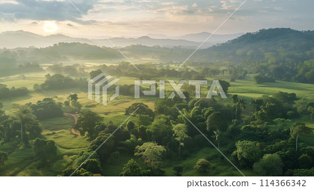 A lush green field with a sun rising in the background. The sky is cloudy and the sun is just peeking over the horizon 114366342