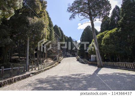 津津八幡神社參道 津津八幡神社參道 114366437
