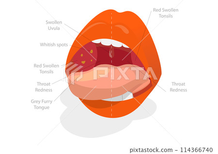 3D Isometric Flat  Conceptual Illustration of Parts Of Human Mouth, Educational Diagram 114366740