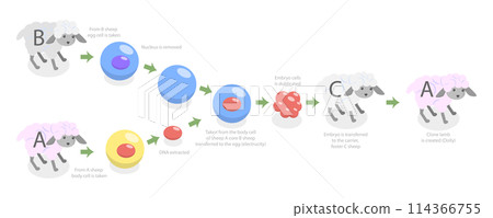 3D Isometric Flat Conceptual Illustration of Animal Cloning, Biotechnology Example 3D Isometric Flat Conceptual Illustration of Animal Cloning, Biotechnology Example 114366755