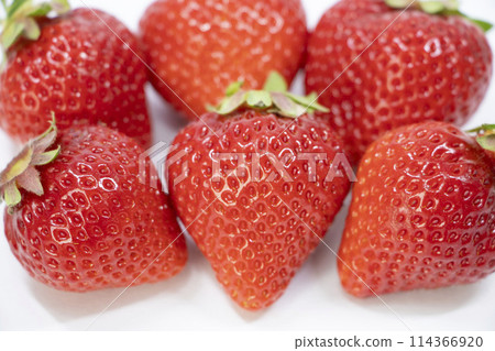 Hakata Asumao 114366920