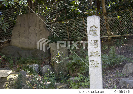 龜崎城跡 114366956