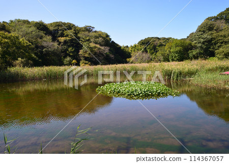 赤羽綠地/自然觀察交流公園#3 赤羽綠地/自然觀察交流公園#3 114367057