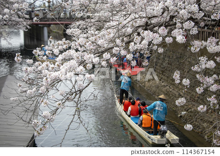 Water City Ogaki Boat Cruise Cherry Blossoms 114367154