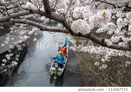Water City Ogaki Boat Cruise Cherry Blossoms 114367155