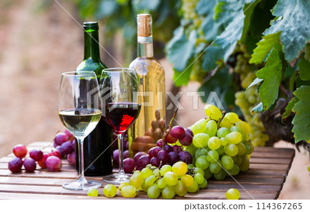Still life with glasses of red and white wine 114367265