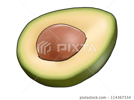 切酪梨的插圖 切酪梨的插圖 114367334