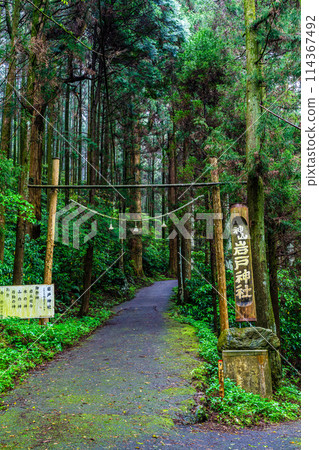 新鮮的綠色岩手神社[長崎縣雲仙市] 114367492