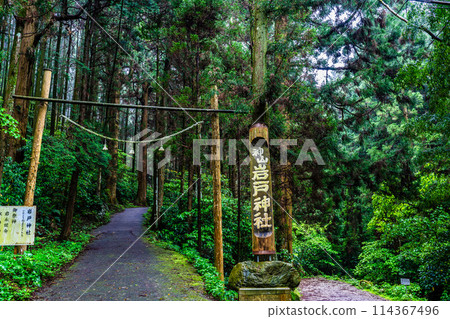 新鮮的綠色岩手神社[長崎縣雲仙市] 114367496