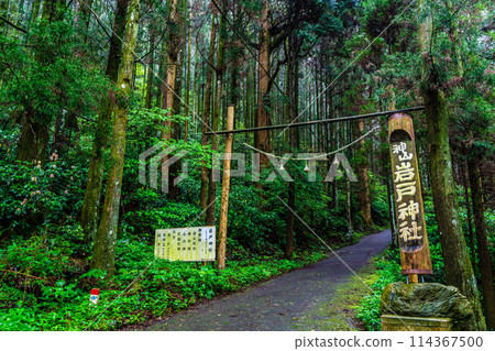 Fresh green Iwato Shrine [Unzen City, Nagasaki Prefecture] 114367500