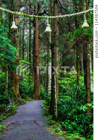新鮮的綠色岩手神社[長崎縣雲仙市] 114367504