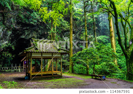 Fresh green Iwato Shrine [Unzen City, Nagasaki Prefecture] 114367591