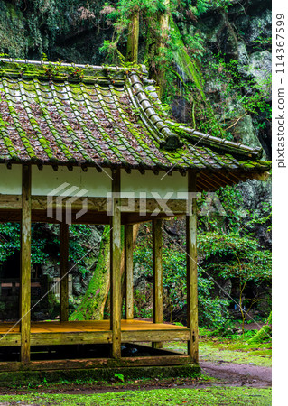 新鮮的綠色岩手神社[長崎縣雲仙市] 114367599