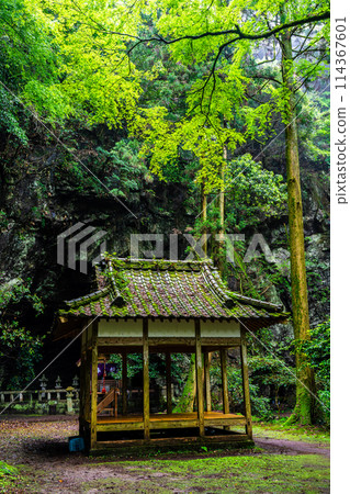 Fresh green Iwato Shrine [Unzen City, Nagasaki Prefecture] 114367601