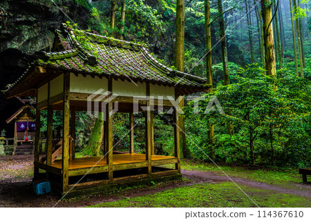 Fresh green Iwato Shrine [Unzen City, Nagasaki Prefecture] 114367610
