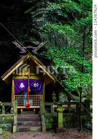 新鮮的綠色岩手神社[長崎縣雲仙市] 114367624