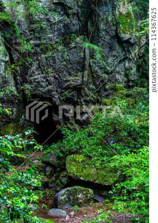 Fresh green Iwato Shrine [Unzen City, Nagasaki Prefecture] 114367625