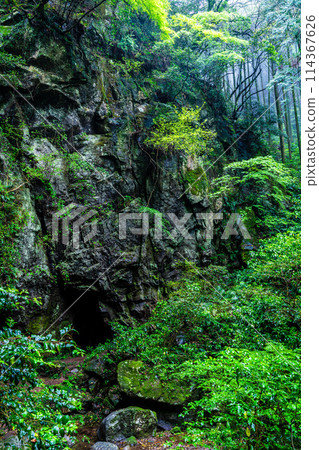 Fresh green Iwato Shrine [Unzen City, Nagasaki Prefecture] 114367626