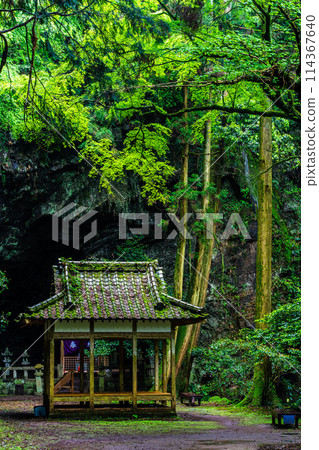 新鮮的綠色岩手神社[長崎縣雲仙市] 114367640
