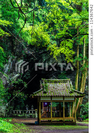 Fresh green Iwato Shrine [Unzen City, Nagasaki Prefecture] 114367642