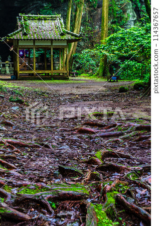 Fresh green Iwato Shrine [Unzen City, Nagasaki Prefecture] 114367657