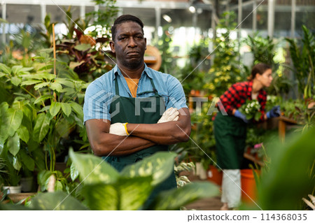 Confident african american hothouse owner among ornamental houseplants 114368035