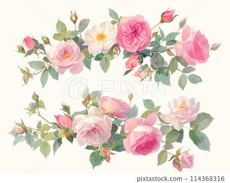 水彩玫瑰插畫 114368316
