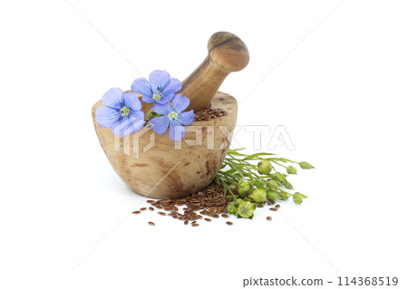 Flax blossom and heap of linseed isolated on white 114368519