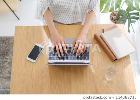 Women handling personal computers Women handling personal computers 114368733