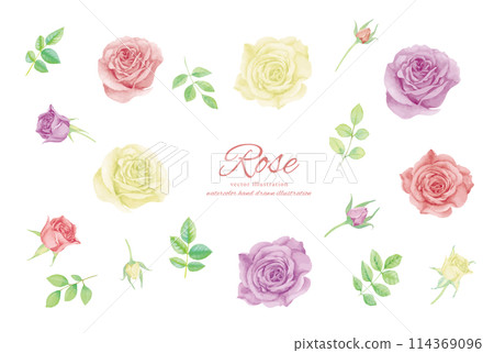 Colorful rose flower illustration material 114369096