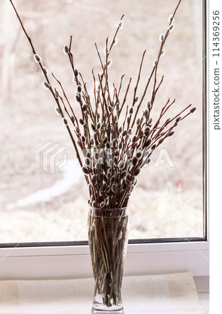 Bouquet of willow branches in a vase on the windowsill 114369256