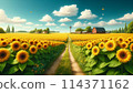 Sunflower road 114371162