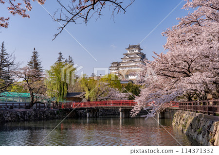 Himeji Castle, cherry blossoms and a red bridge in Himeji, Hyogo Prefecture 114371332