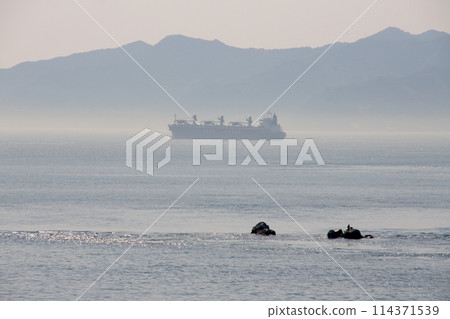 從今治大角花眺望一角春色的大海 114371539