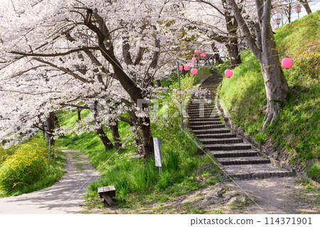 Eboshiyama Park, Senbonzakura, Yamagata Prefecture 114371901